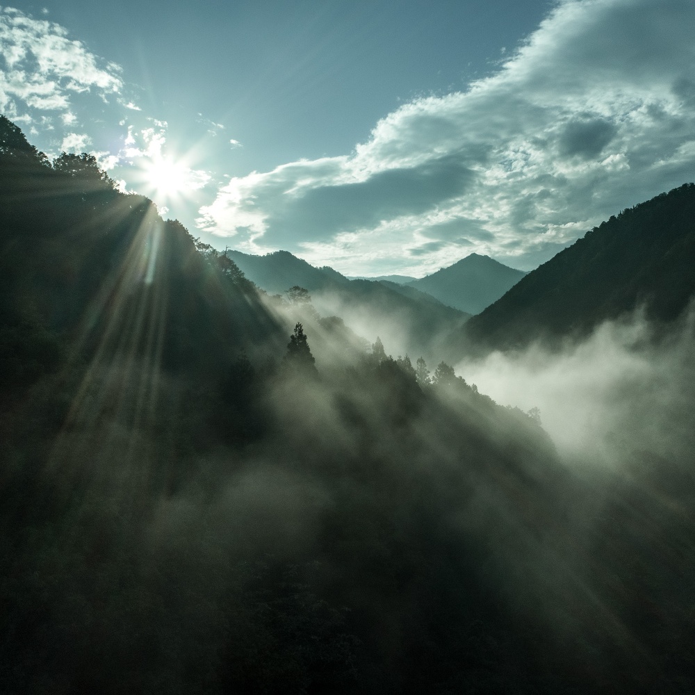 景